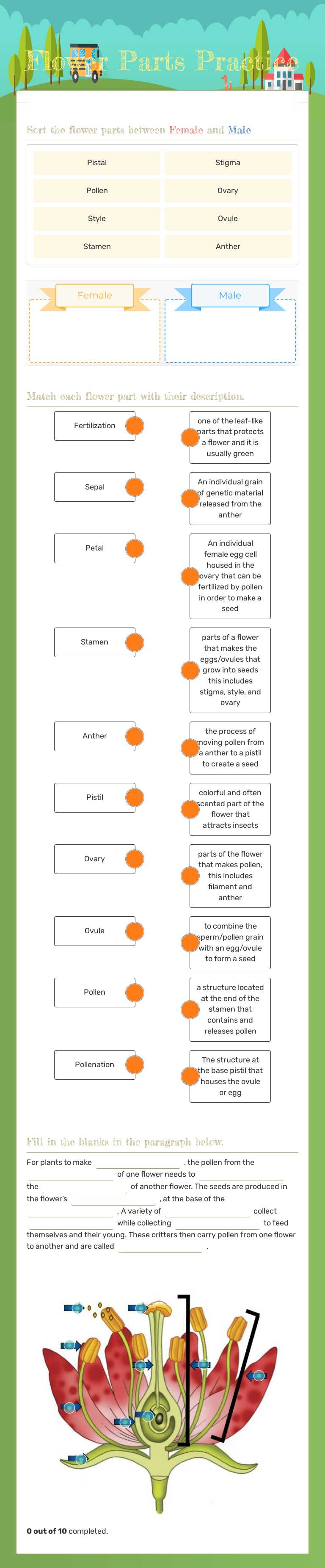 Flower Parts Practice worksheet preview image