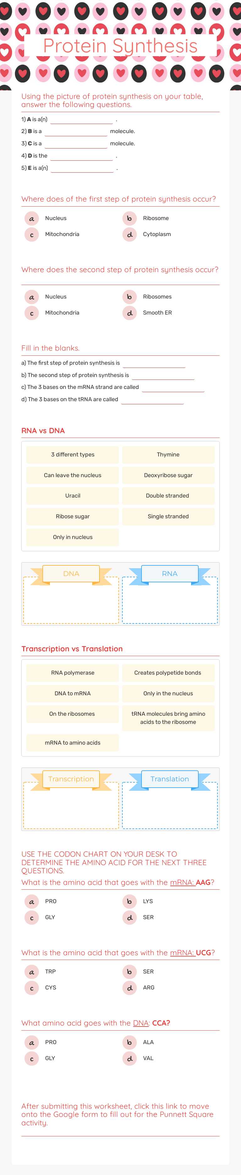 Protein Synthesis Grade 9 worksheet preview