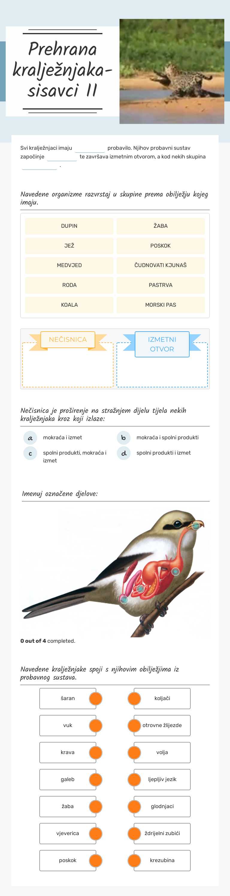 Prehrana kralježnjaka- sisavci II worksheet preview image