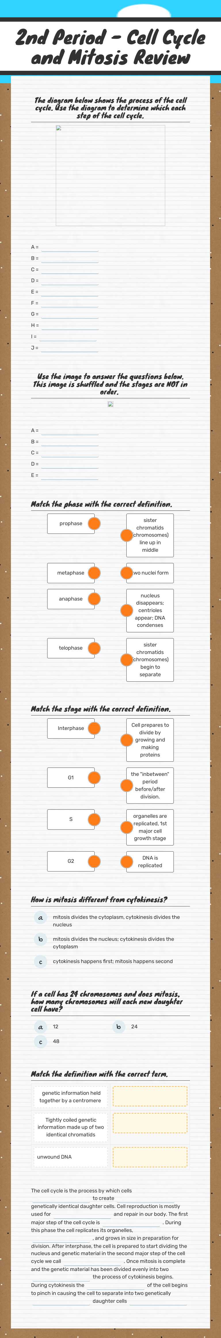 2nd Period - Cell Cycle and Mitosis Review worksheet preview image