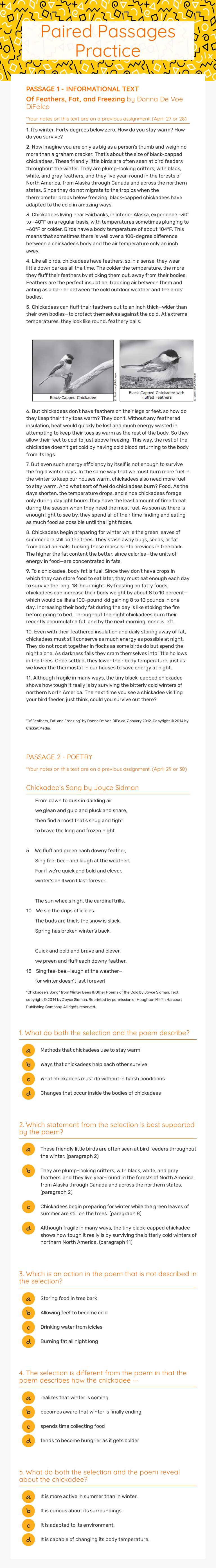 Paired Passages Practice worksheet preview image