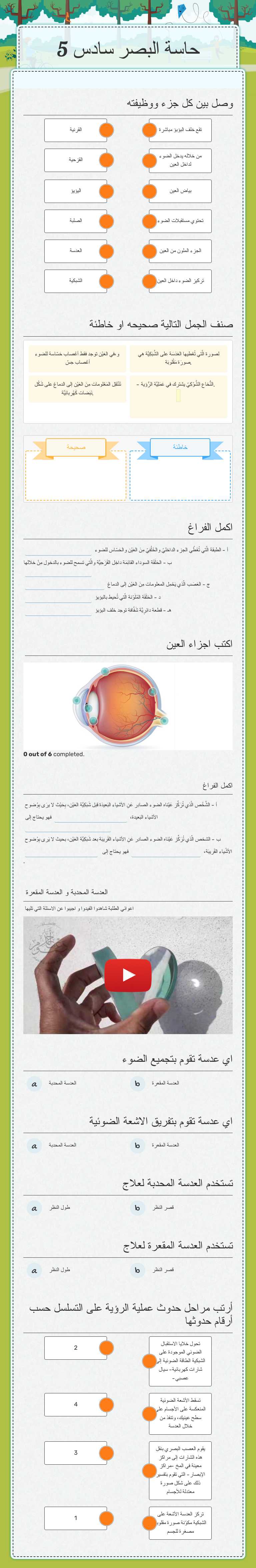 حاسة البصر سادس 5 worksheet preview image