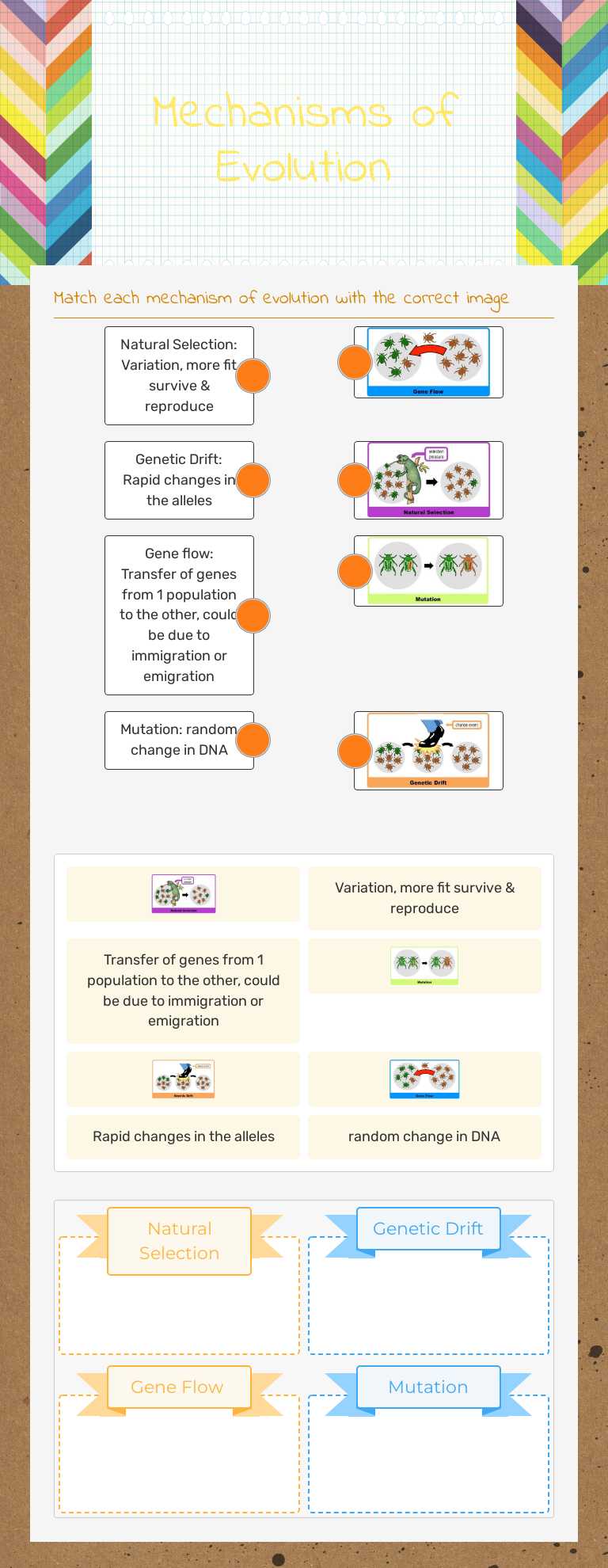 Mechanisms of Evolution worksheet preview image