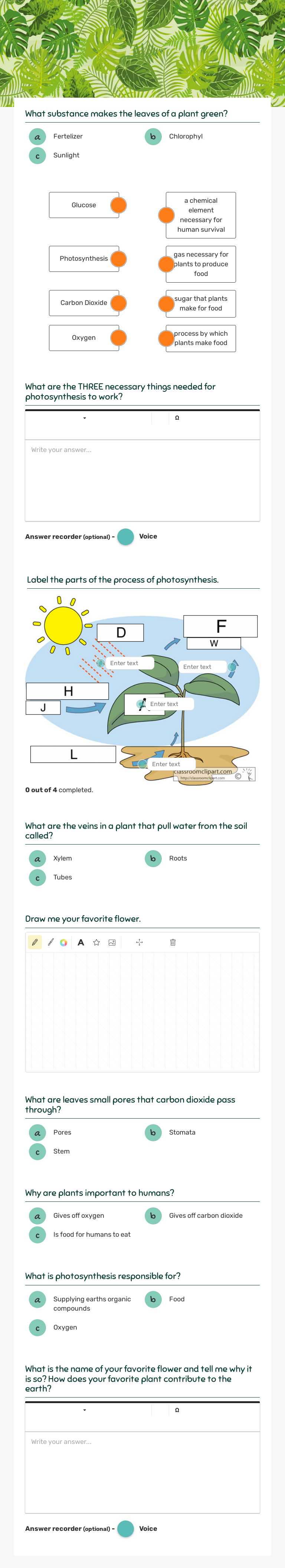 photosynthesis worksheet preview