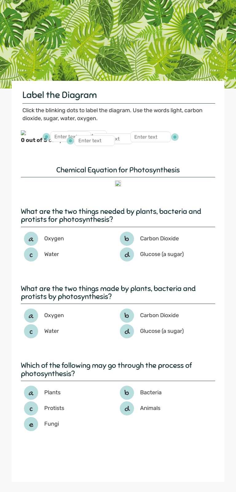 PHOTOSYNTHESIS Grade 6 worksheet preview