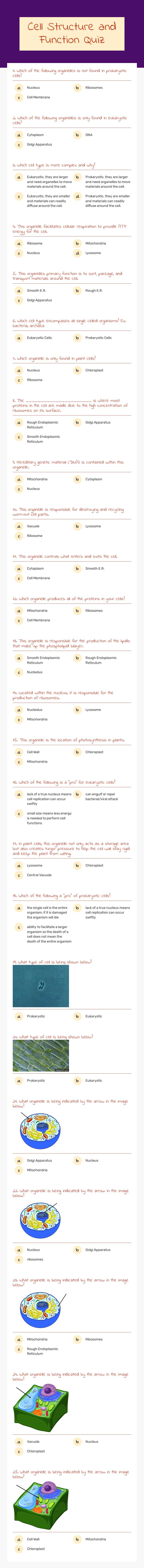 Cell Structure and Function Quiz worksheet preview image