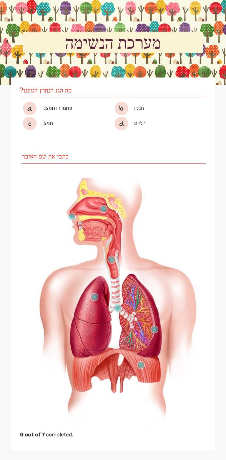 מערכת הנשימה Grade 10 worksheet preview