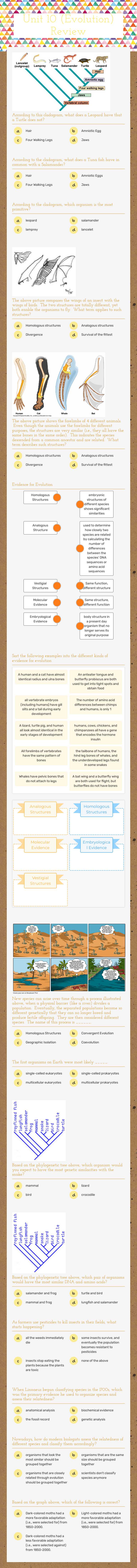 Unit 10 (Evolution) Review worksheet preview image