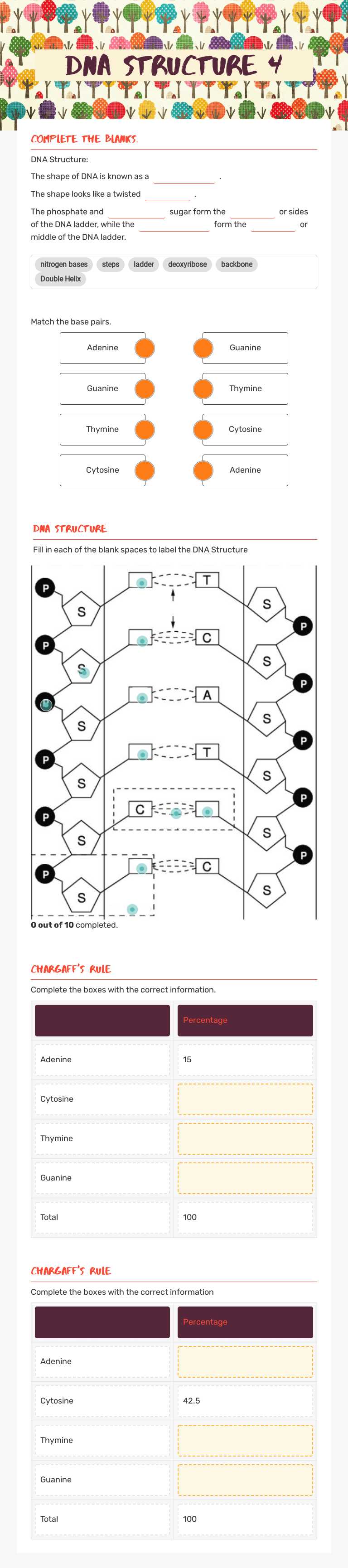 DNA Structure 4 worksheet preview image