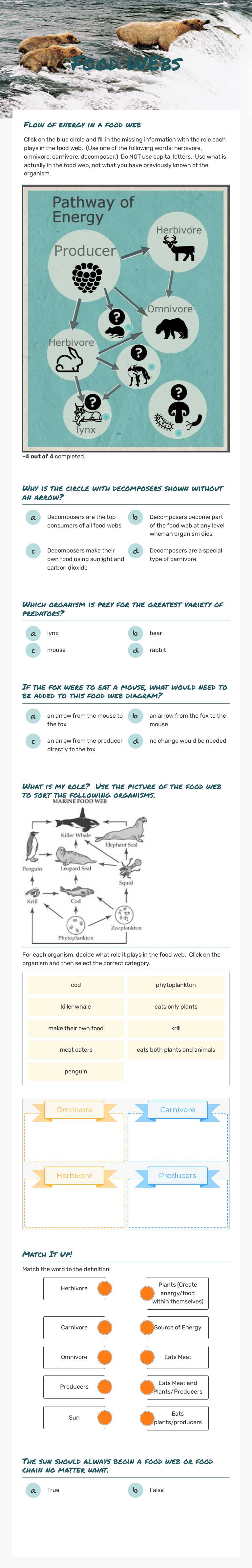 Food WEbs worksheet preview image