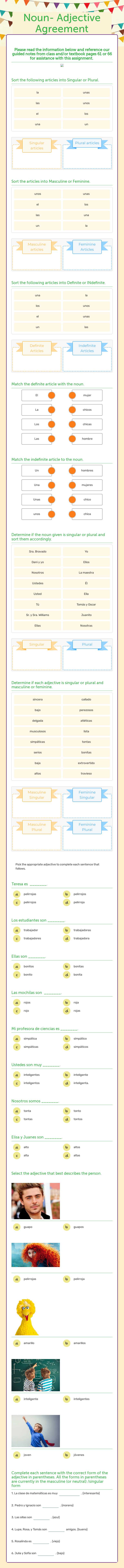 Noun- Adjective Agreement Grade 9 worksheet preview