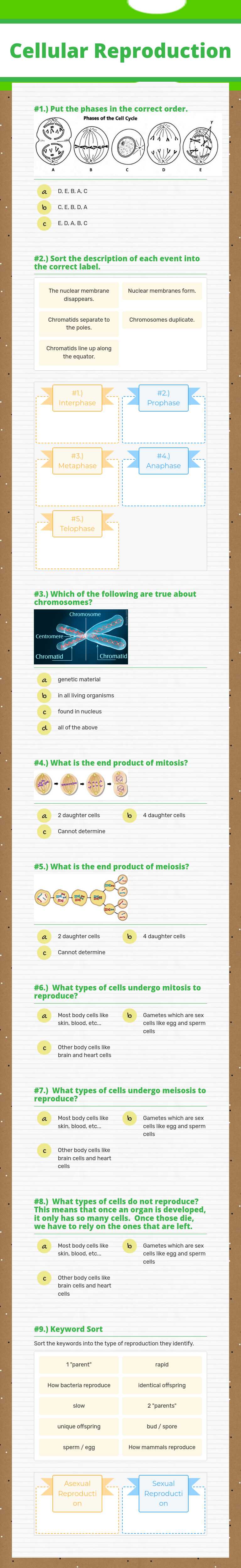 Cellular Reproduction worksheet preview image