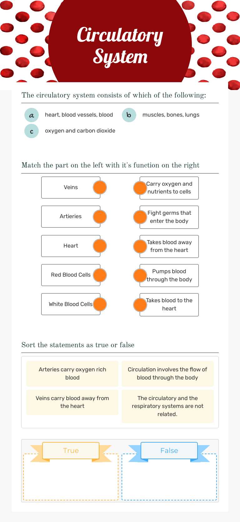 Circulatory System worksheet preview image