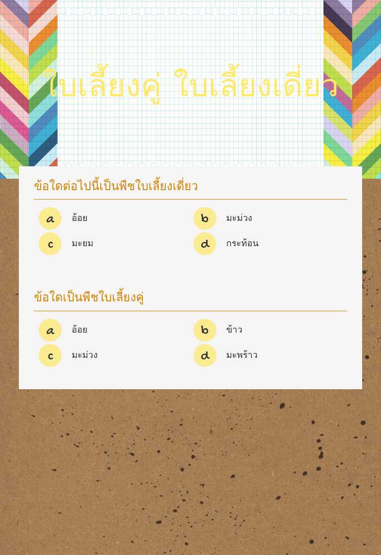ใบเลี้ยงคู่ ใบเลี้ยงเดี่ยว worksheet preview image