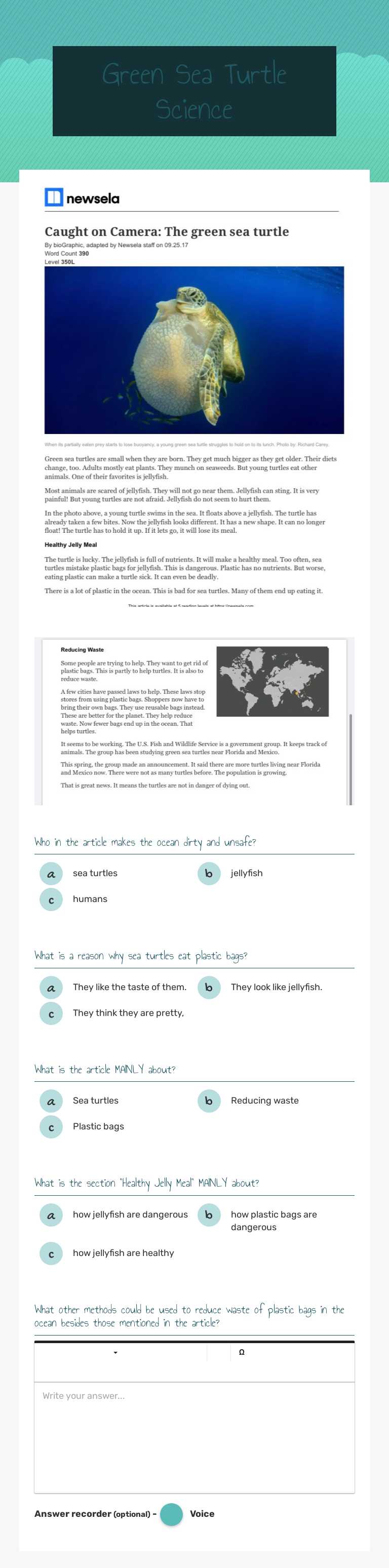 Green Sea Turtle  Science worksheet preview image