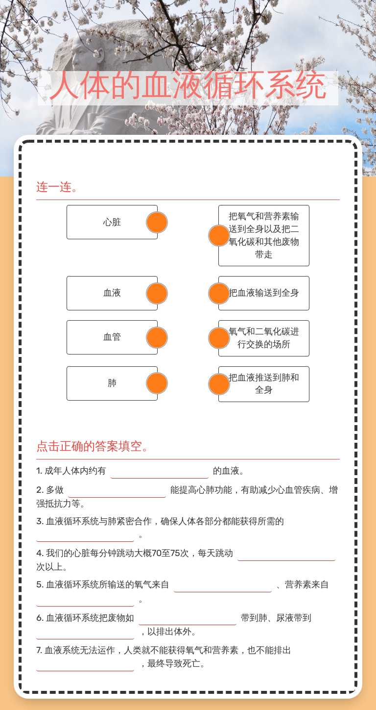 人体的血液循环系统 worksheet preview image