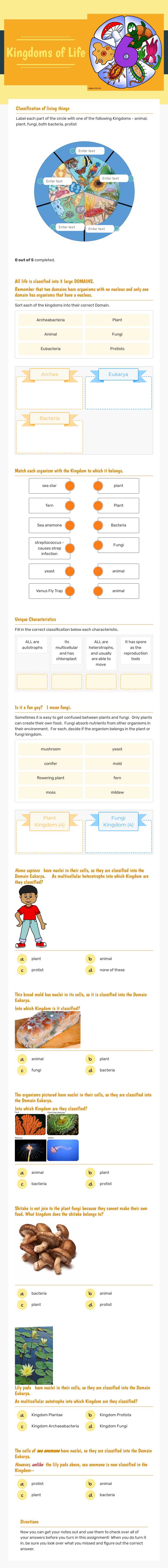 Kingdoms of Life worksheet preview image