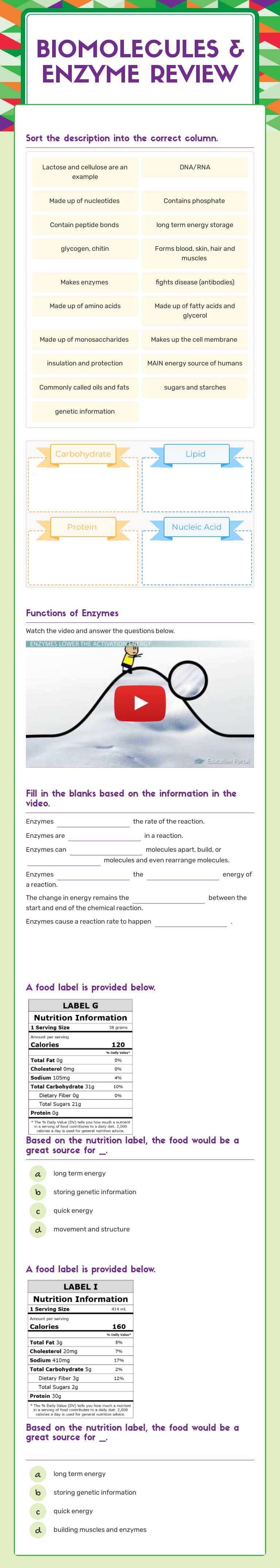 Master biomolecules & enzymes! Review types, functions, and enzyme ...