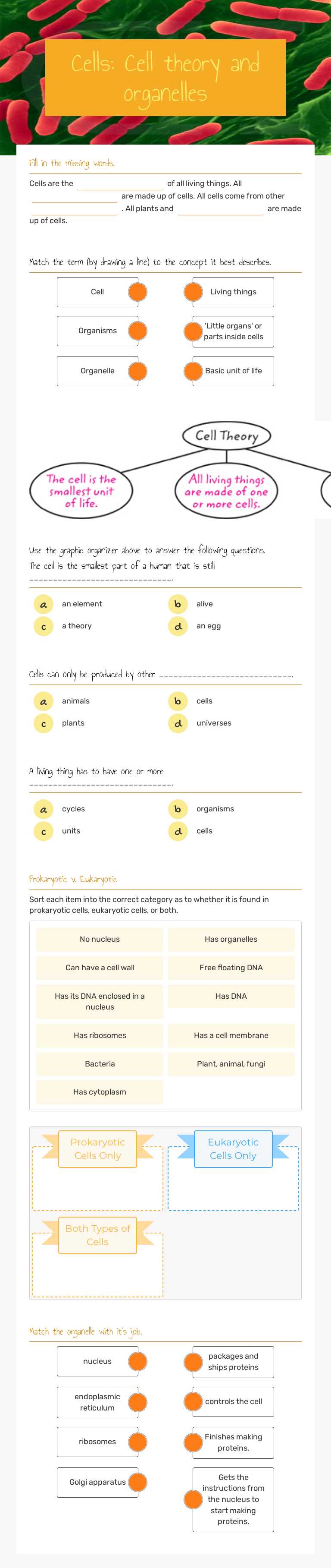 Cells: Cell theory and organelles worksheet preview image