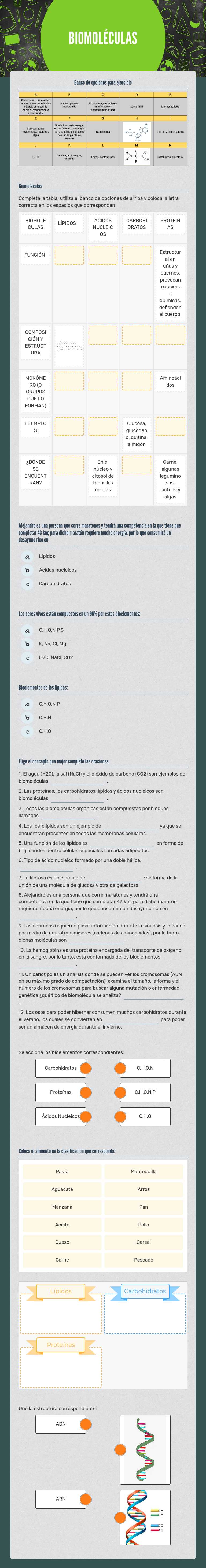 BIOMOLÉCULAS worksheet preview image