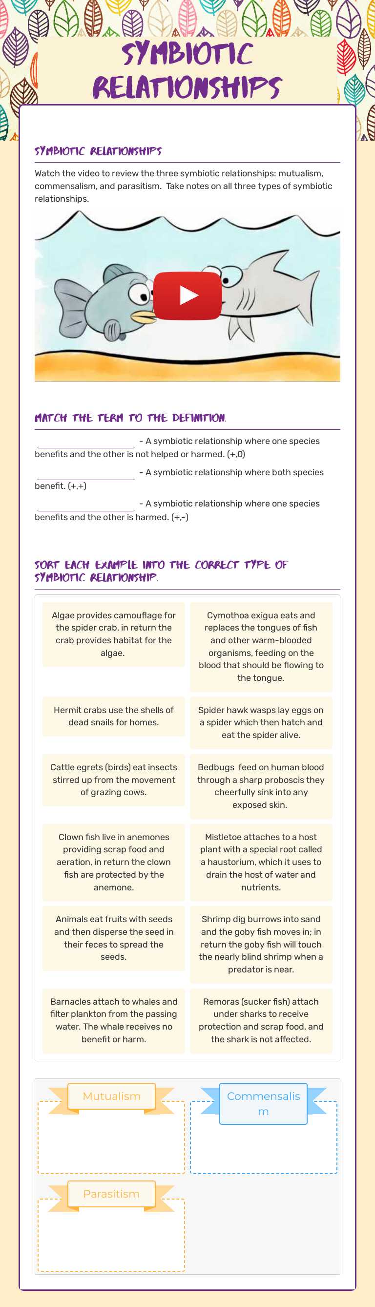 Symbiotic Relationships worksheet preview image