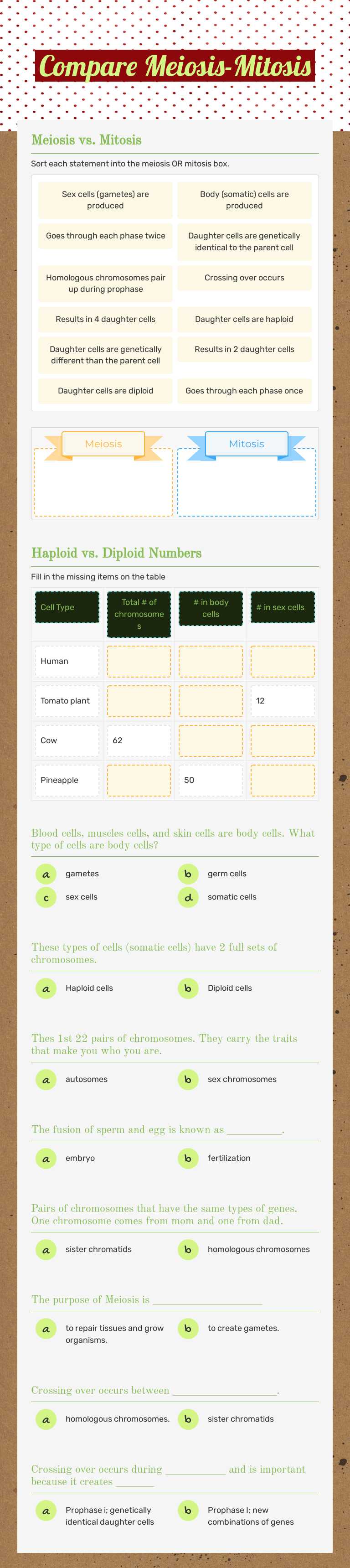 Compare Meiosis-Mitosis worksheet preview image