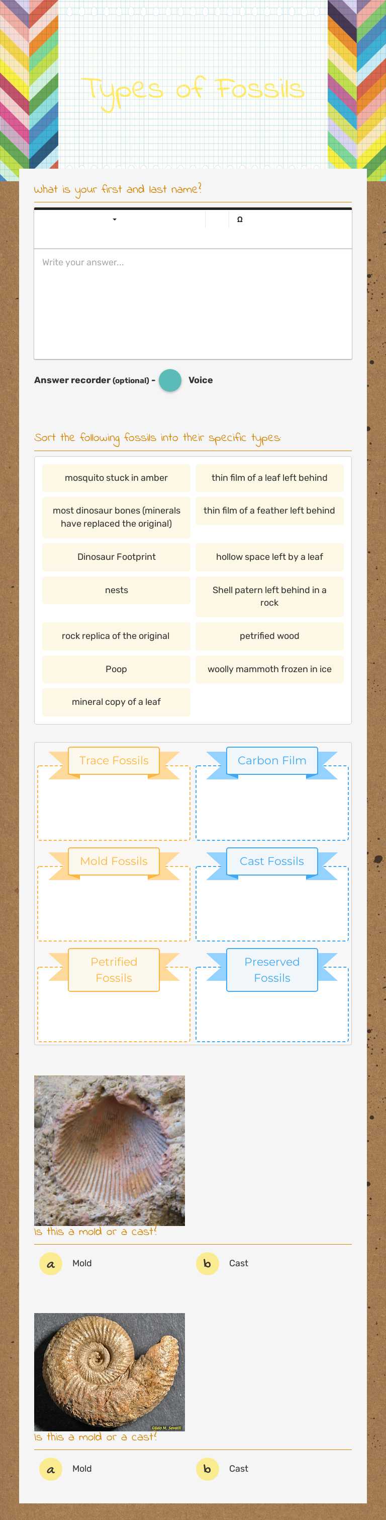 Types of Fossils Grade 8 worksheet preview