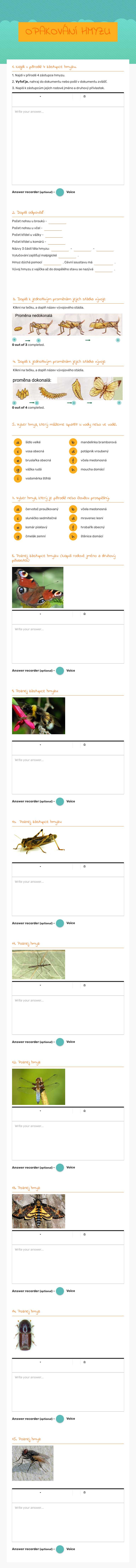 OPAKOVÁNÍ HMYZU worksheet preview image