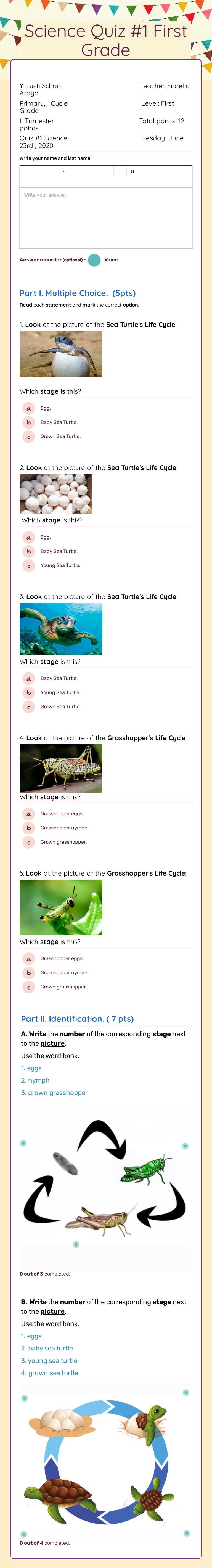 Science Quiz #1  First Grade worksheet preview image