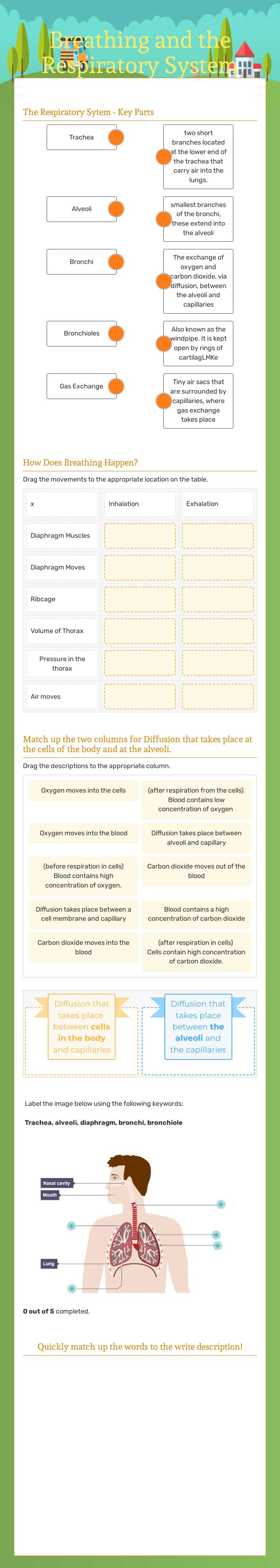 Breathing and the Respiratory System Grade 10 worksheet preview