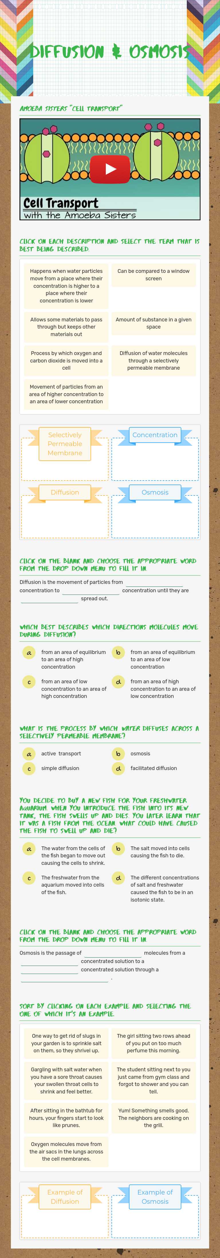 Diffusion & Osmosis Grade 9 worksheet preview