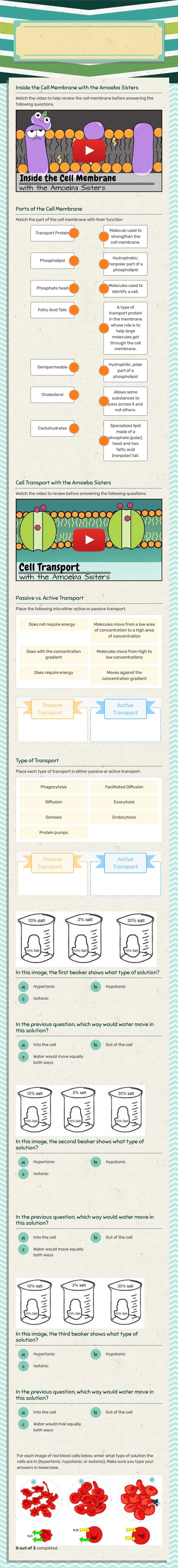 Cell Membrane and Cell Transport Grade 9 worksheet preview