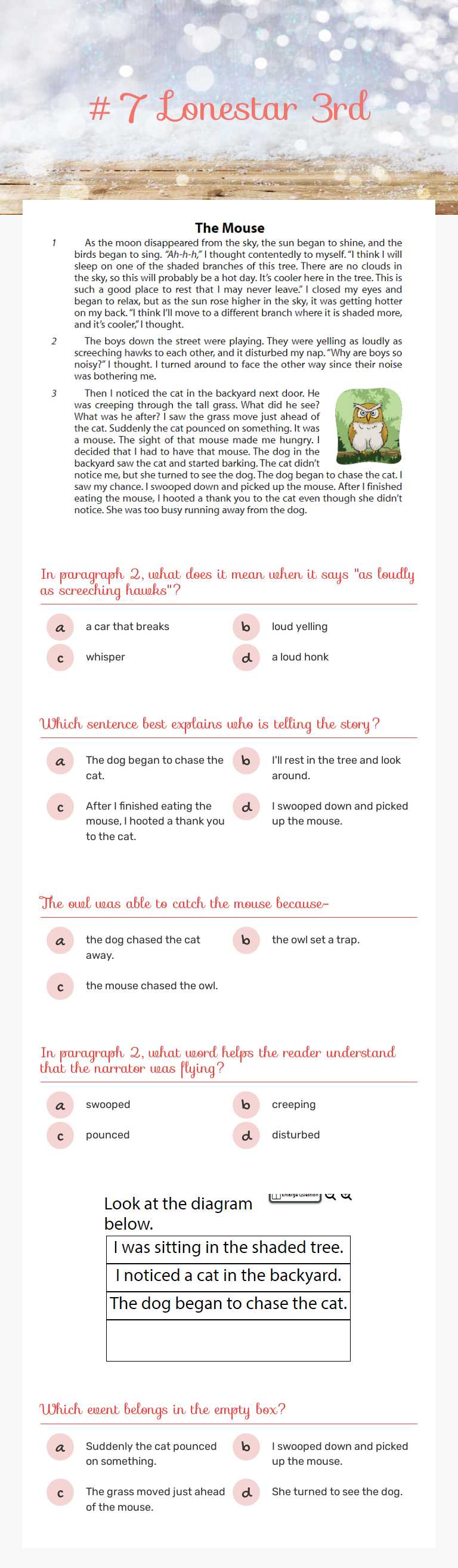 #7 Lonestar 3rd worksheet preview image