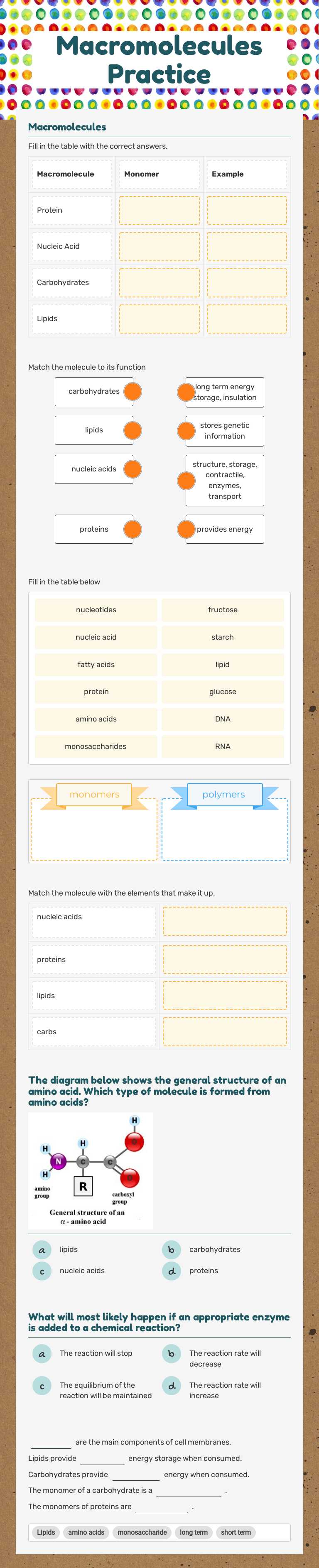 Macromolecules Practice worksheet preview image