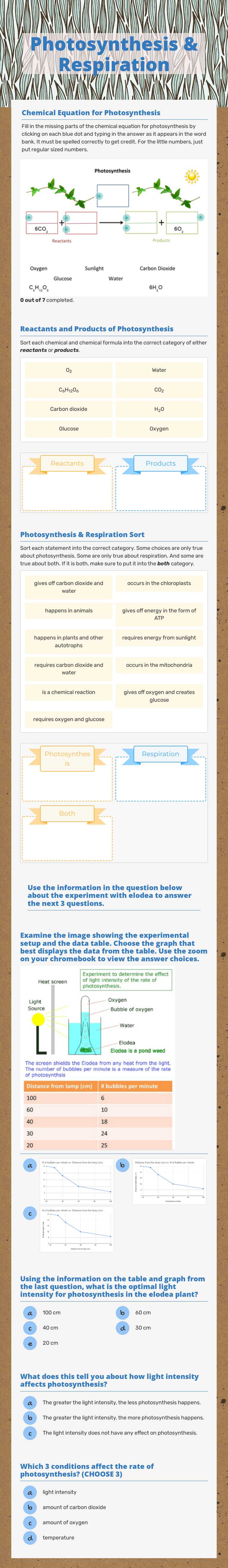 Photosynthesis & Respiration worksheet preview image