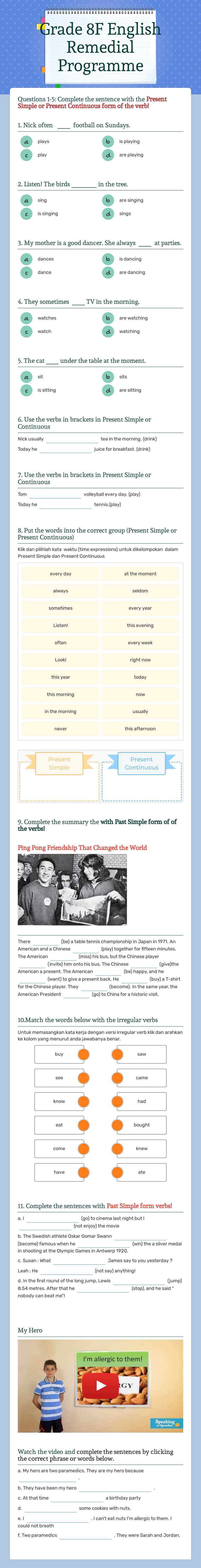 Grade 8F English Remedial Programme worksheet preview image