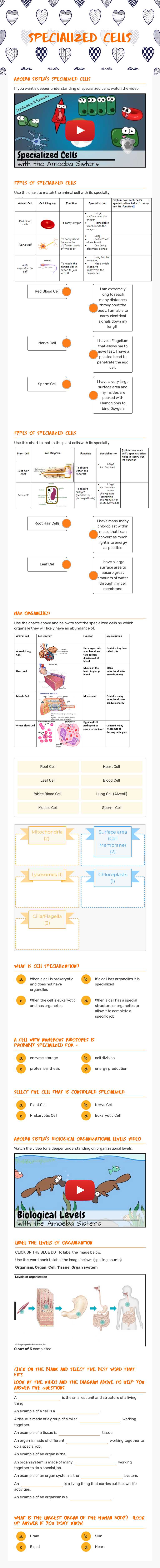 Specialized cells worksheet preview image