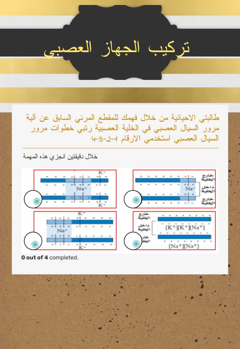 تركيب الجهاز العصبي worksheet preview image