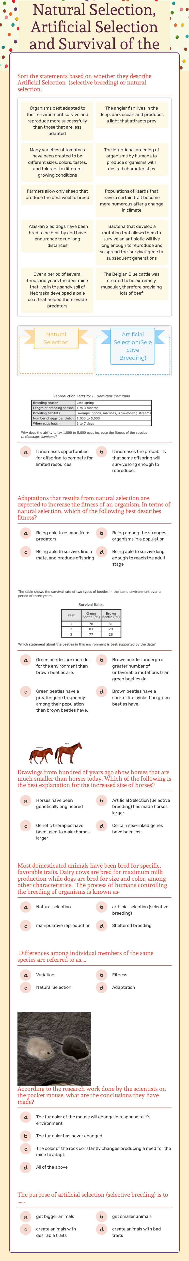 Natural Selection, Artificial Selection and Survival of the Fittest worksheet preview