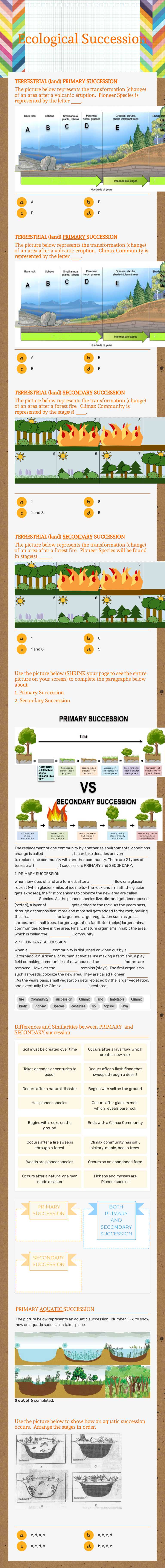 Ecological Succession worksheet preview image