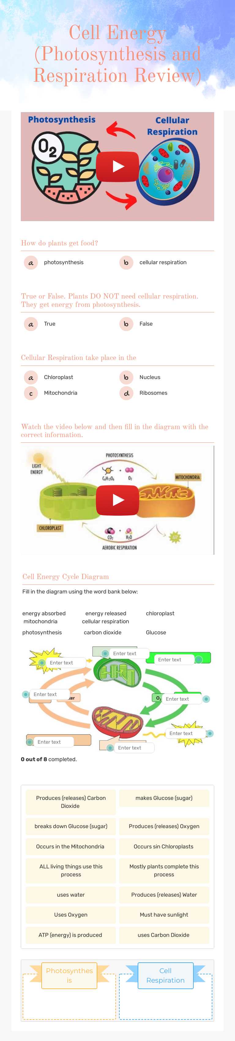 Cell Energy (Photosynthesis and Respiration Review) Grade 9 worksheet preview