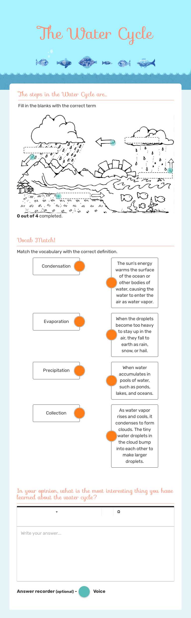The Water Cycle worksheet preview image