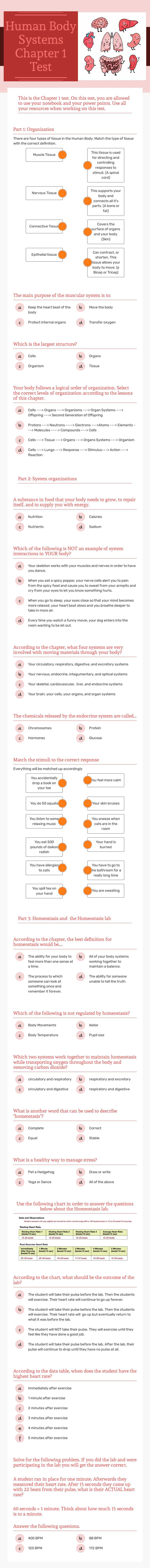 Human Body Systems Chapter 1 Test worksheet preview image