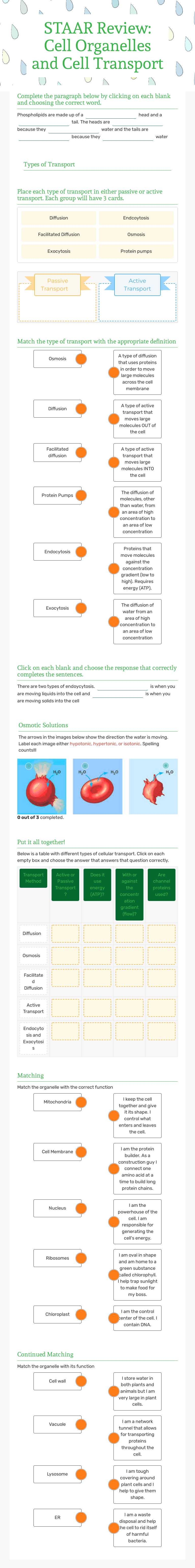 STAAR Review: Cell Organelles and Cell Transport by Teresa Reeves ...