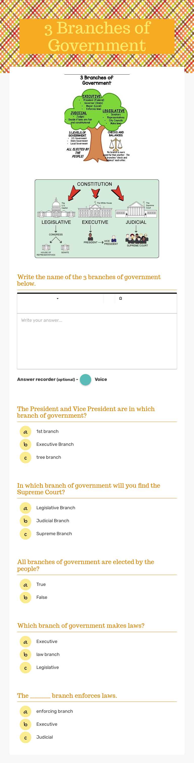 3 Branches of Government worksheet preview image
