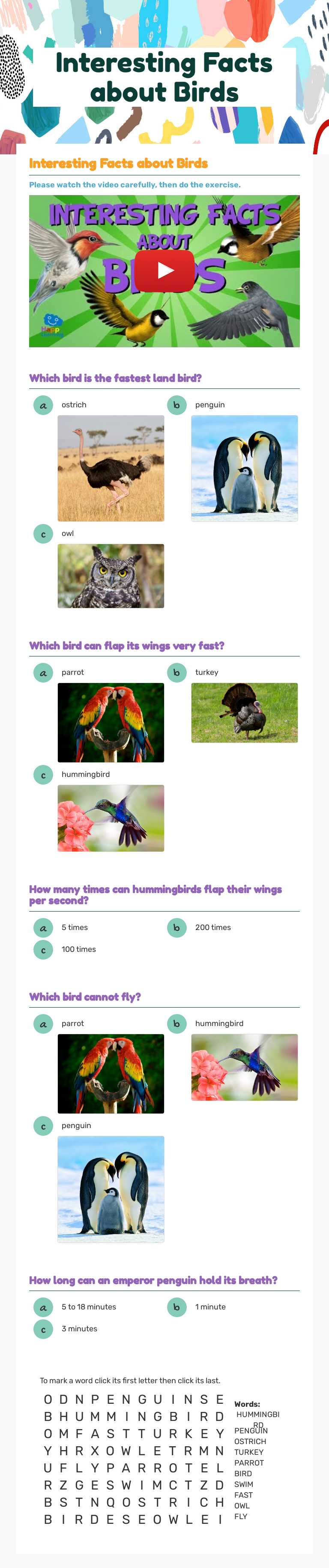 Interesting Facts about Birds worksheet preview image
