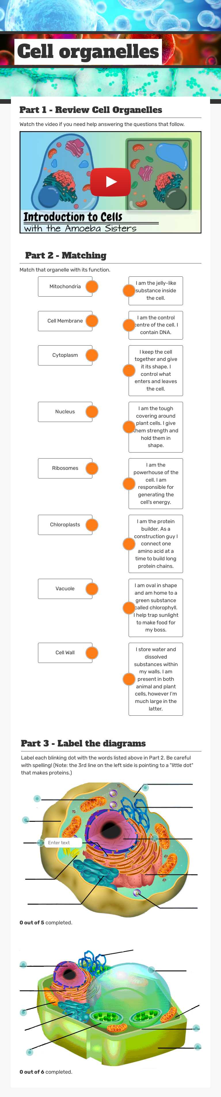 Cell organelles worksheet preview image