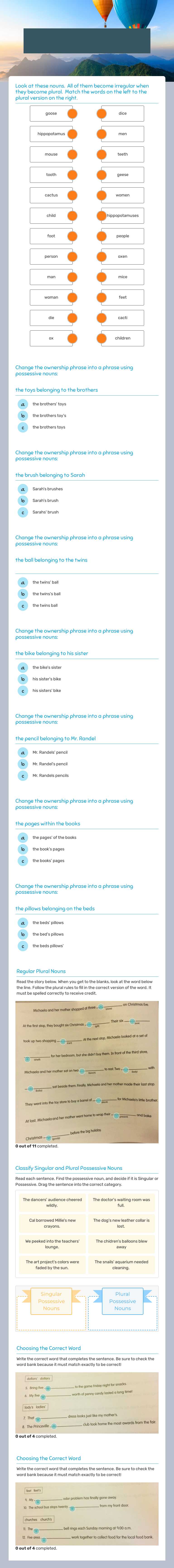 Practicing Plural and Possessive Nouns worksheet preview image