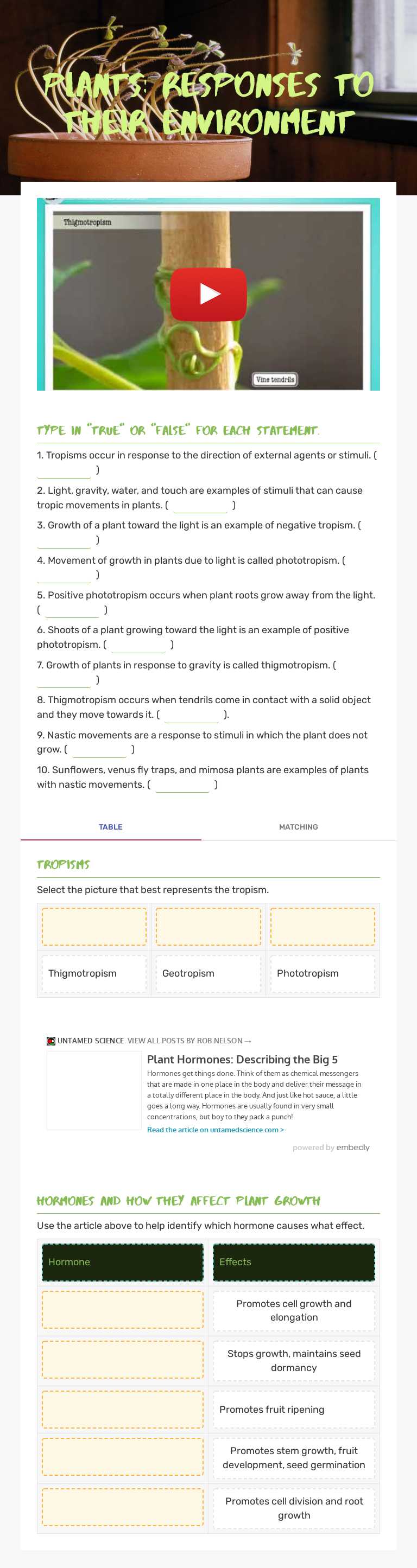 Plants: Responses to      their environment worksheet preview image