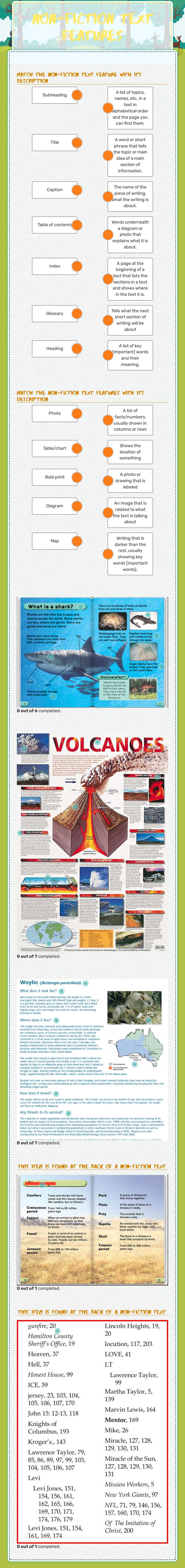 Non-fiction text features worksheet preview image